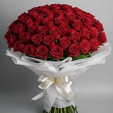 Букет 101 Красная роза Блэк Мэджик в Таганьково
