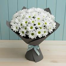 Букет цветов из:  Хризантемы #REPLACE_PRED# Таганьково