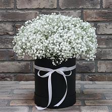 Цветочная композиция из Гипсофила в шляпной коробке в Таганьково