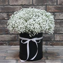 Цветочная композиция из Гипсофила в шляпной коробке в Таганьково