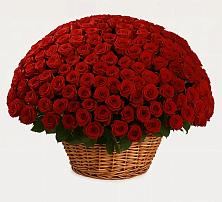 Премиум букет из: Розы в Таганьково