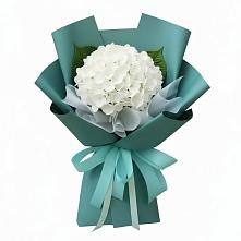 Букет цветов из:  Гортензия #REPLACE_PRED# Таганьково